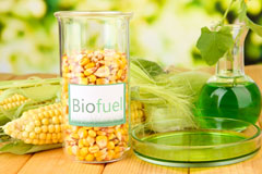 Blaenau Dolwyddelan biofuel availability
